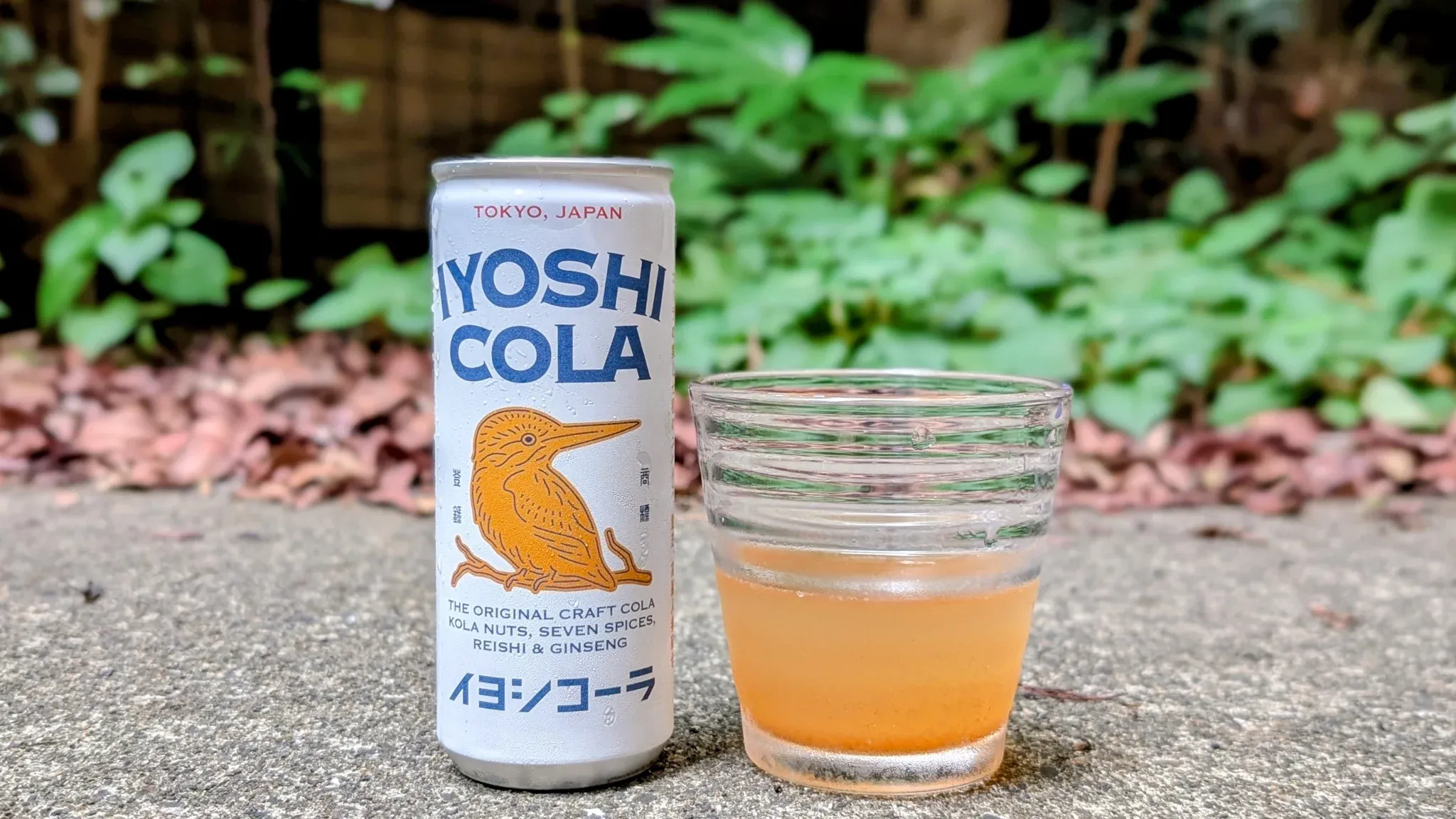 イヨシコーラの缶と、淡い柑橘色の炭酸が入ったグラス。石の上に置かれ、背景には緑の植物。
